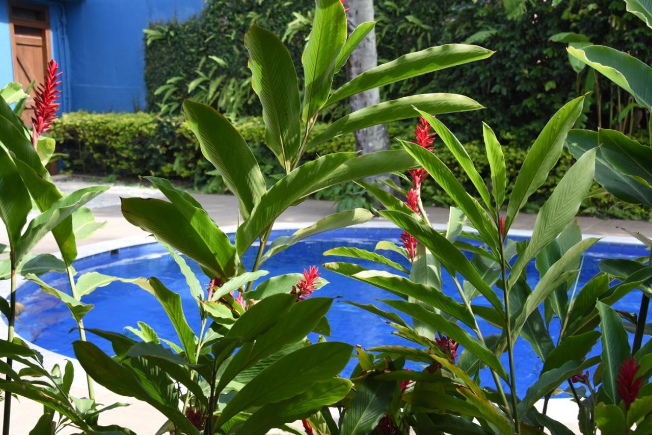 Pousada Verano ساو سيباستياو المظهر الخارجي الصورة